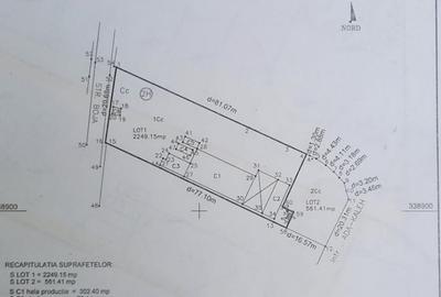 Teren 2800mp Lacu Morii Teren 2800mp Lacu Morii - 1