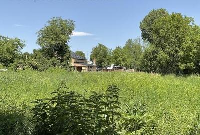 Casa la tara, cu dependinte si gradina - 3