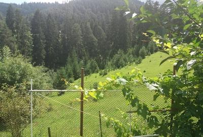 Teren intravilan de 2000 mp, în Central - 4