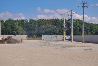 Spațiu industrial, de 587 mp, în Șcheia - 9