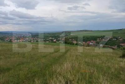 Teren de 1249 mp, în Copăceni - 2