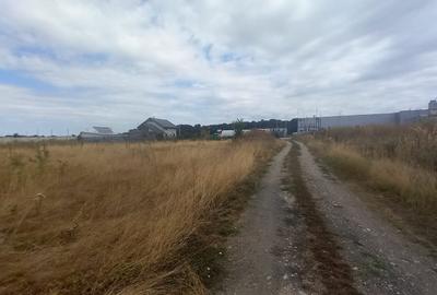 Otopeni-Philip Morris,(zona mixta),1308 mp,50 deschidre X 26 m Otopeni-Philip Morris,(zona mixta),1308 mp,50 deschidre X 26 m - 2