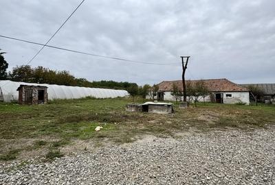 Casă cu 4 camere în Petin - 3
