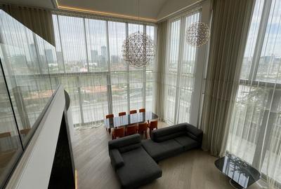 Floreasca | Penthouse | Duplex | Pescariu | 480mp | Gradina