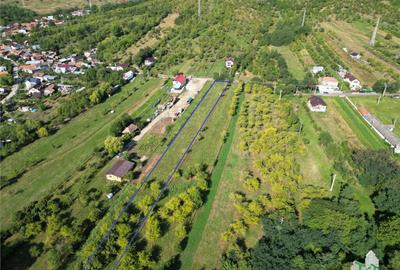 Teren intravilan de / Maneciu Pamanteni - 1