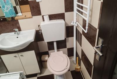 Garsonieră decomandată în Lipovei - 6