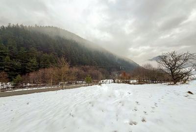 Spațiu comercial, în Rășinari - 4