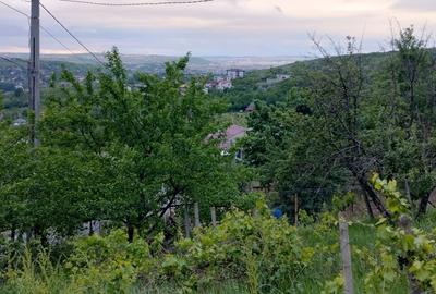 Bucium!Teren intravilan cu casa,1500mp!