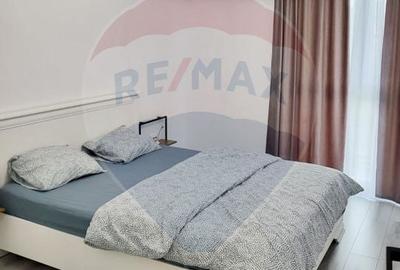 Apartament 2 camere de inchiriat - Buna Ziua Apartament 2 camere de inchiriat - Buna Ziua - 9