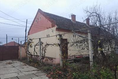 Teren de 5610 mp, în Șimand - 8