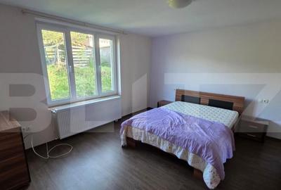 Casa de vanzare, cu 4 dormotoare si 10 ari teren, zona Unire - 4