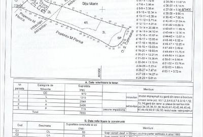Casă cu 3 camere cu Teren 7800 Mp în Central - 4
