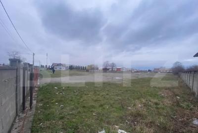 Teren de 8000 mp, în Cornu Luncii - 3