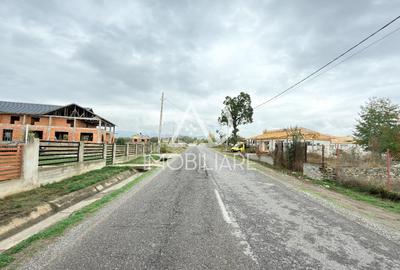 Teren Construcții intravilan de 3695 mp, în Runcu - 2