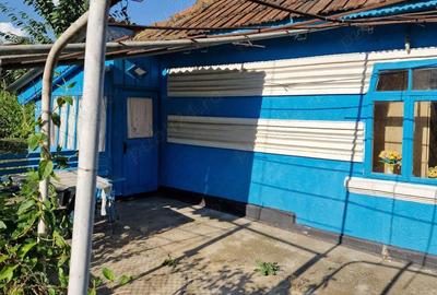Casă cu 2 camere în Cozia - 10