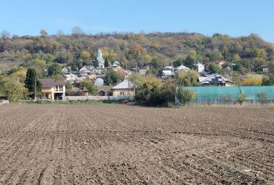 Spațiu comercial, în Proaspeți - 4