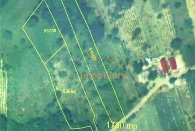 Teren de 2939 mp, în Tileagd - 1