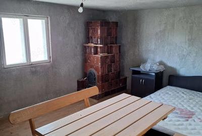 Casă cu 4 camere cu Teren 8700 Mp în Central - 2