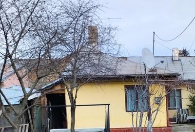 Casă cu 3 camere cu Teren 579 Mp în Chitila - 5