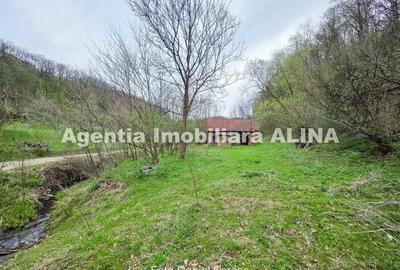 Teren în Nojag - 12