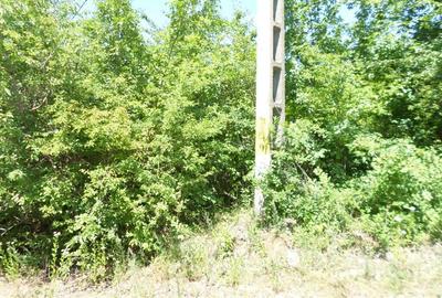 Teren intravilan in Boldesti Scaeni, Prahova, 7410 mp - 3