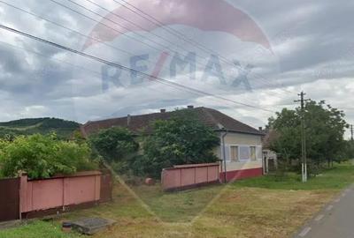 Teren de 1295 mp, în Șiria - 3