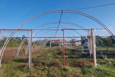 Casa + gospodarie la Silagiu Buzias - 3