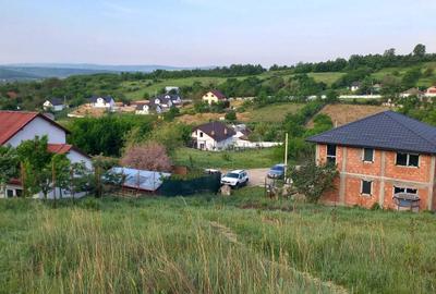 Spațiu comercial, în Bârnova - 3