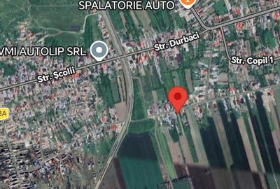 Spațiu comercial, în Cojasca - 3