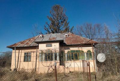 Vand casa+teren intravilan aproape 4000 m comuna suseni sat ?u?ule?ti judetul Arges pre? negociabil - 3