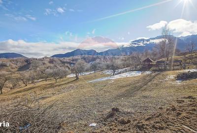 Spațiu comercial, în Sohodol - 4