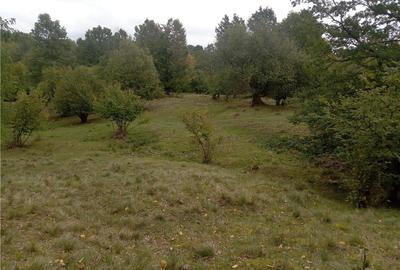 Teren de 16800 mp, în Central - 7