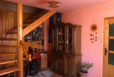 Vand casa in Dambul Pietros,singur in curte - 4