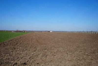 Teren de 10000 mp, în Zădăreni