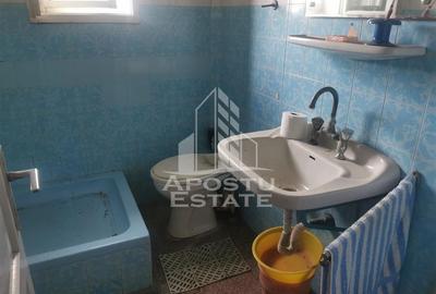 Casă cu 5 camere cu Teren 1571 Mp în Bucovăț (Remetea Mare) - 8