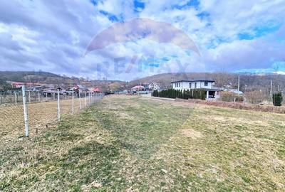 Teren Construcții intravilan de 2286 mp, în Vest - 2