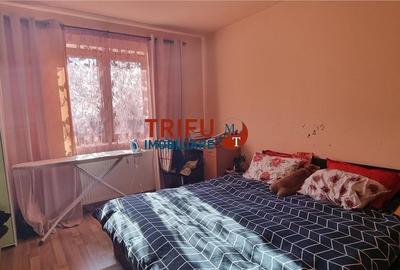 Casa 3 camere pe un nivel de vanzare zona Alba Micesti Casa 3 camere pe un nivel de vanzare zona Alba Micesti - 6