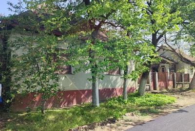 Casa solida cu teren 1081 mp Siria soseaua principala spre Cetate - 3