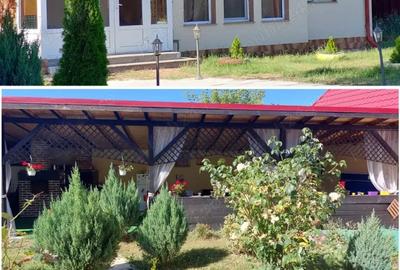 Casă cu Teren 960 Mp în Cârcea - 6