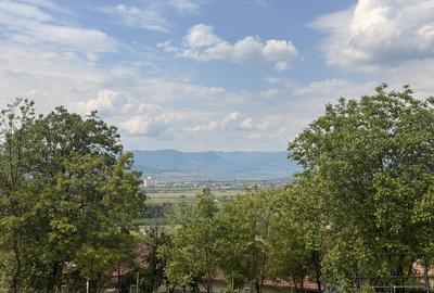 Teren Construcții intravilan de 1400 mp, în Drâmbar - 1