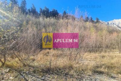 Teren intravilan de vânzare în Bușteni - Zona centrala - 8