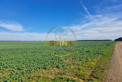 Teren intravilan Branesti 27000 mp km 12 Autostrada A2 - 4