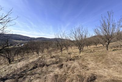 Casă individuală cu 5 camere cu Garaj în Livadea - 43