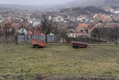 Spațiu comercial, de 3,600 mp, în Șura Mare - 6