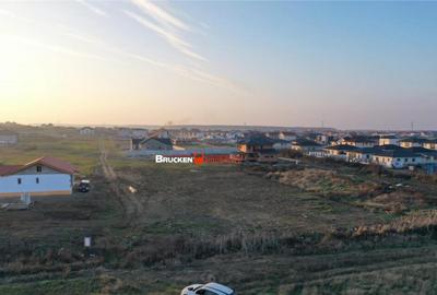 Terenuri pentru constructie case Sanmartin, limita cu... - 1