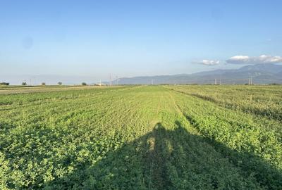 Teren extravilan de vanzare -5750 mp- deschidere la DJ 112B- Intrarea in Vulcan - 2