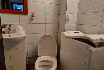 Apartament cu 3 camere de inchiriat in Curtea de Arge?. - 14