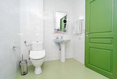 Casa / Vila cu 10 camere, de vanzare. Todireni, Botosani. - 34