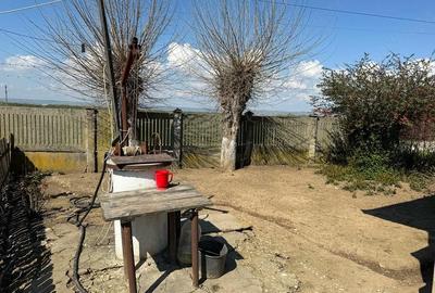 Casă cu Teren 2000 Mp în Valea Fetei - 7