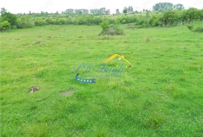 Teren intravilan de vanzare, Campina Prahova - 1